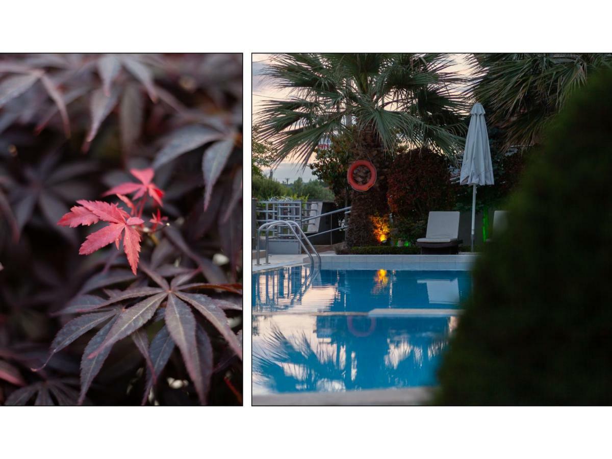 Anthodi Hotel Stavros  Buitenkant foto
